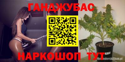 PSILOCYBIN Будённовск