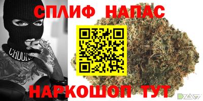PSILOCYBIN Будённовск