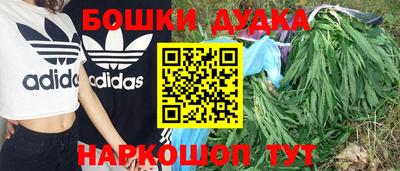 PSILOCYBIN Будённовск