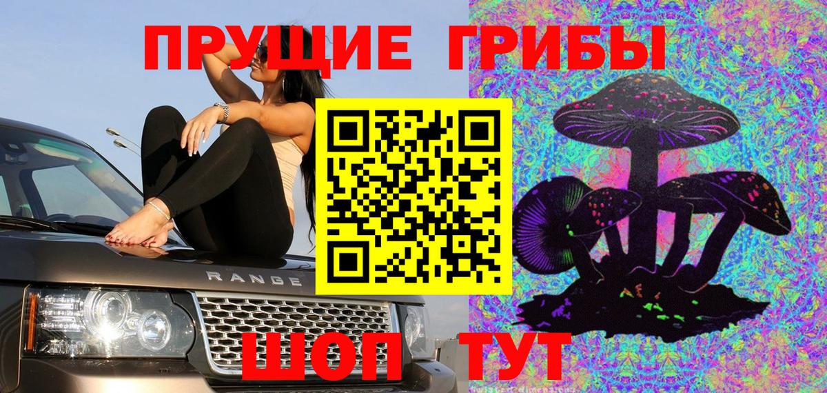 Псилоцибиновые грибы MAGIC MUSHROOMS  Вход с VPN  Заинск  Галлюциногенные грибы Psilocybine cubensis 